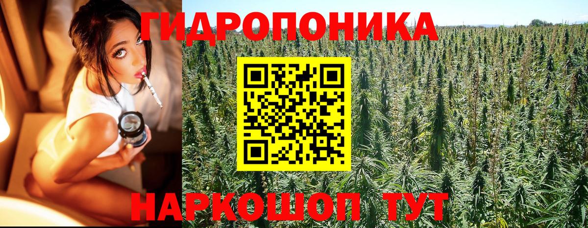 Бошки Шишки марихуана Кстово